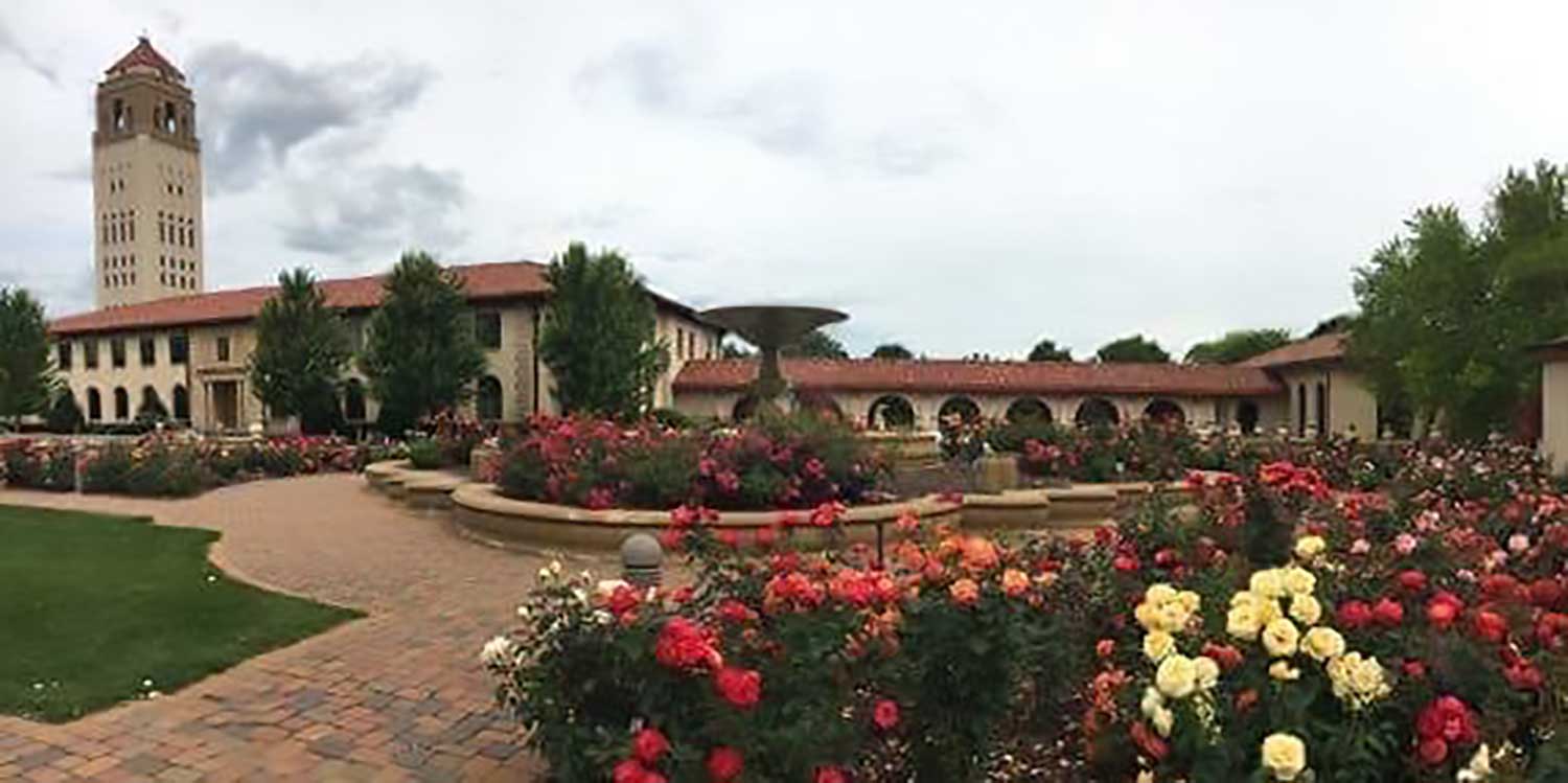 Rose-Garden