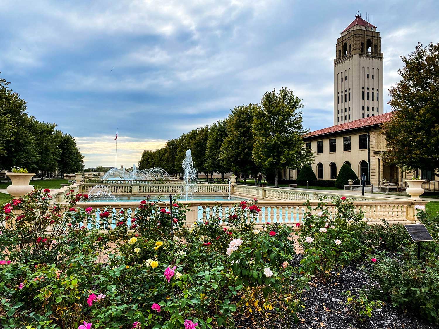 Roses-in-bloom-Fountain-Tower